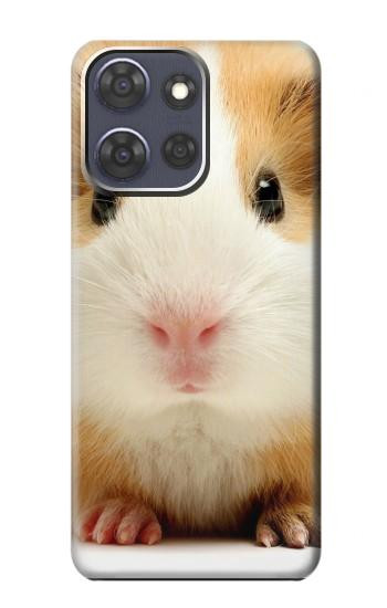 S1619 Mignon de porc Guinée Etui Coque Housse pour Motorola Moto G Power (2025)