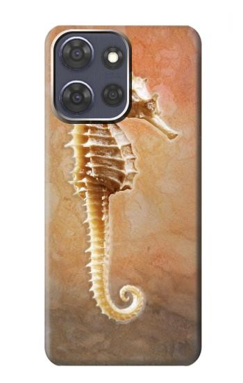 S2674 Hippocampe squelette Fossile Etui Coque Housse pour Motorola Moto G Power (2025,2026)