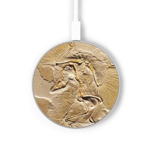 S0380 Fossile de dinosaure Chargeur sans fil 15W Type-C iPhone Android Station de charge à lumière LED