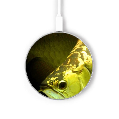 S1021 Or Arowana poissons Chargeur sans fil 15W Type-C iPhone Android Station de charge à lumière LED