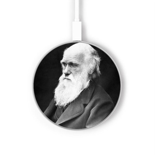 S1610 Charles Darwin Chargeur sans fil 15W Type-C iPhone Android Station de charge à lumière LED