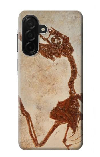 S0379 Fossile de dinosaure Etui Coque Housse pour Samsung Galaxy A26