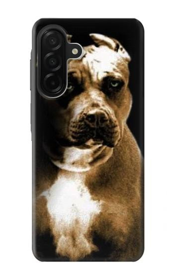 S0520 PitBull Etui Coque Housse pour Samsung Galaxy A26