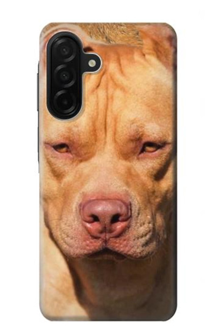 S2903 Chien américain Pitbull Etui Coque Housse pour Samsung Galaxy A26