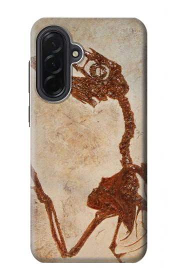 S0379 Fossile de dinosaure Etui Coque Housse pour Samsung Galaxy A36