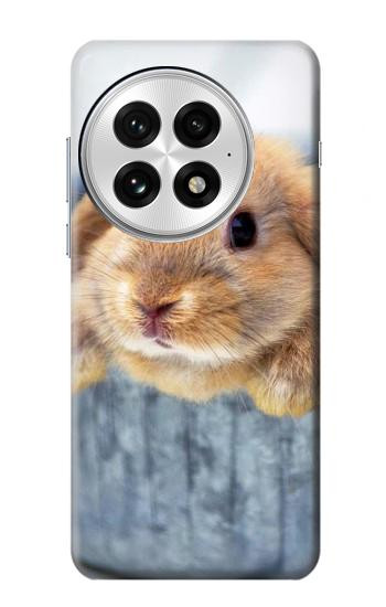S0242 Lapin mignon Etui Coque Housse pour OnePlus 13