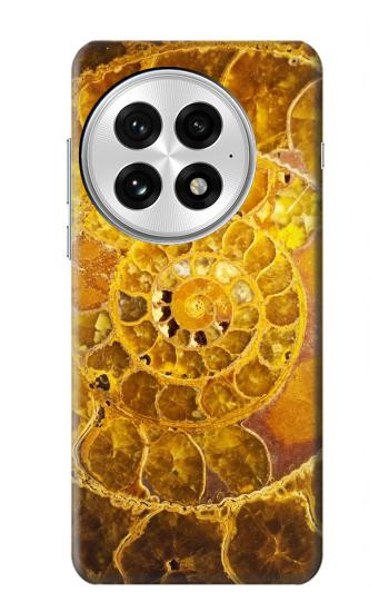 S1789 ammonite Fossiles Etui Coque Housse pour OnePlus 13