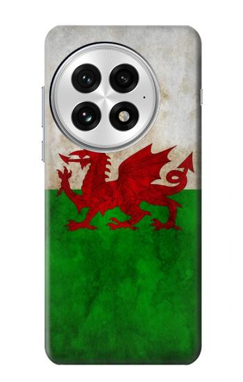 S2976 Pays de Galles Football Football Drapeau Etui Coque Housse pour OnePlus 13