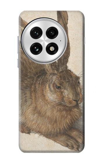 S3781 Albrecht Durer Young Hare Etui Coque Housse pour OnePlus 13