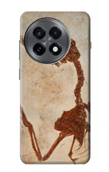 S0379 Fossile de dinosaure Etui Coque Housse pour OnePlus 13R