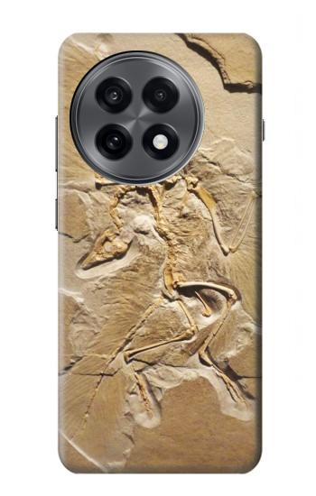 S0380 Fossile de dinosaure Etui Coque Housse pour OnePlus 13R