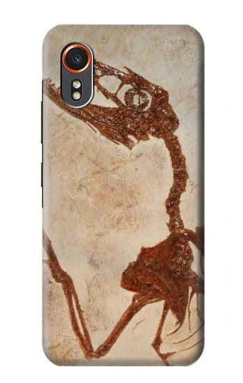 S0379 Fossile de dinosaure Etui Coque Housse pour Samsung Galaxy XCover7