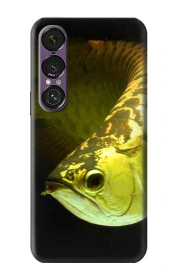 S1021 Or Arowana poissons Etui Coque Housse pour Sony Xperia 1 VII