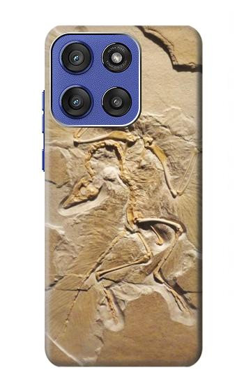 S0380 Fossile de dinosaure Etui Coque Housse pour Motorola Moto G Stylus 5G (2025), Edge 60 Stylus