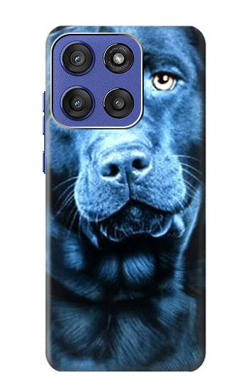 S0750 Labrador Retriever Etui Coque Housse pour Motorola Moto G Stylus 5G (2025,2026), Edge 60 Stylus