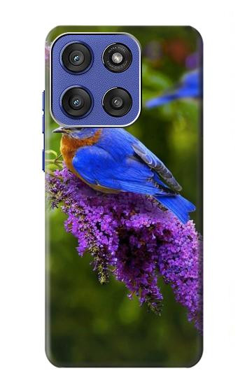 S1565 Oiseau bleu de bonheur Bleu Oiseau Etui Coque Housse pour Motorola Moto G Stylus 5G (2025,2026), Edge 60 Stylus