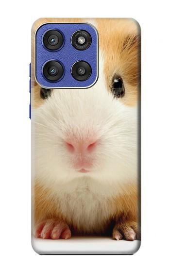 S1619 Mignon de porc Guinée Etui Coque Housse pour Motorola Moto G Stylus 5G (2025,2026), Edge 60 Stylus