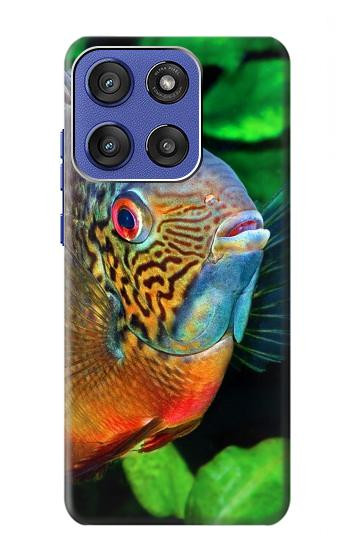 S1812 cichlidés poisson Etui Coque Housse pour Motorola Moto G Stylus 5G (2025), Edge 60 Stylus