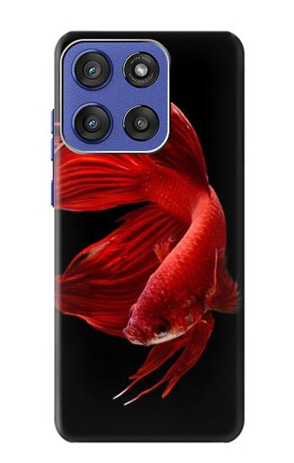 S2092 Rouge Poisson Combattant Etui Coque Housse pour Motorola Moto G Stylus 5G (2025), Edge 60 Stylus