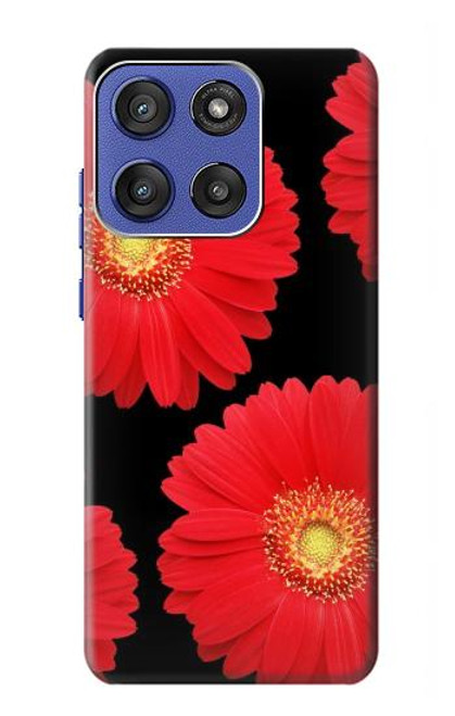 S2478 fleur rouge Daisy Etui Coque Housse pour Motorola Moto G Stylus 5G (2025), Edge 60 Stylus