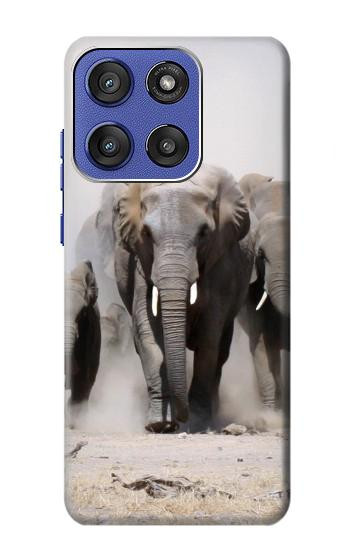 S3142 éléphant d'Afrique Etui Coque Housse pour Motorola Moto G Stylus 5G (2025,2026), Edge 60 Stylus