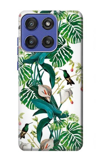 S3697 Oiseaux de la vie des feuilles Etui Coque Housse pour Motorola Moto G Stylus 5G (2025,2026), Edge 60 Stylus