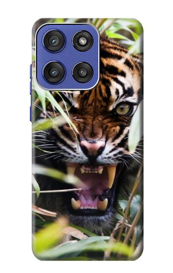 S3838 Tigre du Bengale qui aboie Etui Coque Housse pour Motorola Moto G Stylus 5G (2025,2026), Edge 60 Stylus