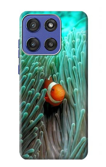 S3893 Poisson-clown Ocellaris Etui Coque Housse pour Motorola Moto G Stylus 5G (2025,2026), Edge 60 Stylus