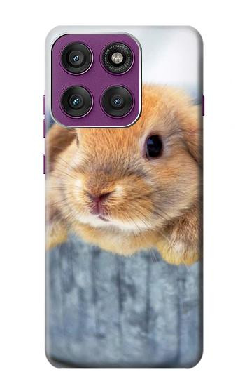 S0242 Lapin mignon Etui Coque Housse pour Motorola Edge 60 Pro