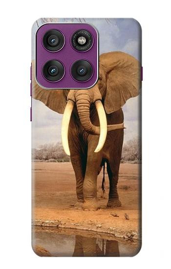 S0310 éléphant d'Afrique Etui Coque Housse pour Motorola Edge 60 Pro