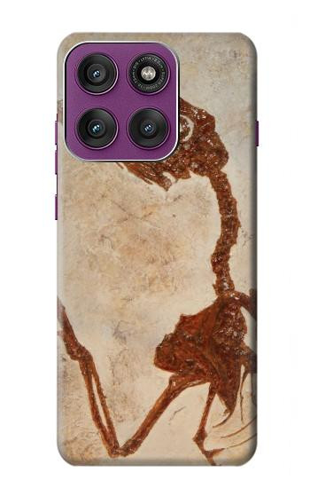 S0379 Fossile de dinosaure Etui Coque Housse pour Motorola Edge 60 Pro