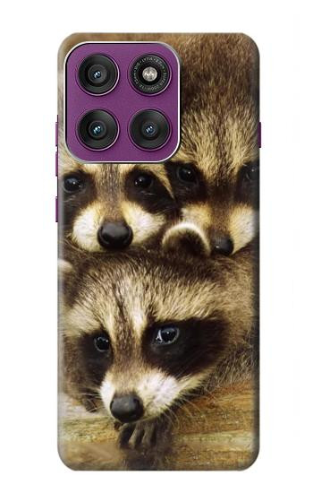 S0977 Les ratons laveurs bébé Etui Coque Housse pour Motorola Edge 60 Pro