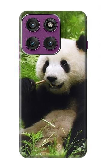 S1073 Panda Prenez plaisir à manger Etui Coque Housse pour Motorola Edge 60 Pro
