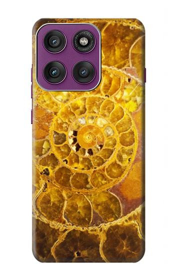 S1789 ammonite Fossiles Etui Coque Housse pour Motorola Edge 60 Pro