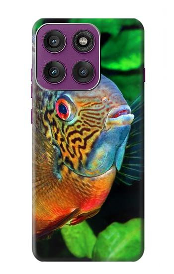 S1812 cichlidés poisson Etui Coque Housse pour Motorola Edge 60 Pro