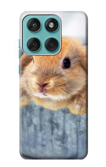 S0242 Lapin mignon Etui Coque Housse pour Motorola Edge 60 Fusion