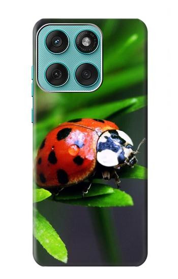 S0263 Coccinelle Etui Coque Housse pour Motorola Edge 60 Fusion