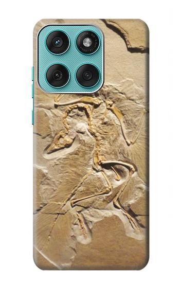 S0380 Fossile de dinosaure Etui Coque Housse pour Motorola Edge 60 Fusion