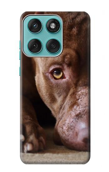 S0519 PitBull Visage Etui Coque Housse pour Motorola Edge 60 Fusion