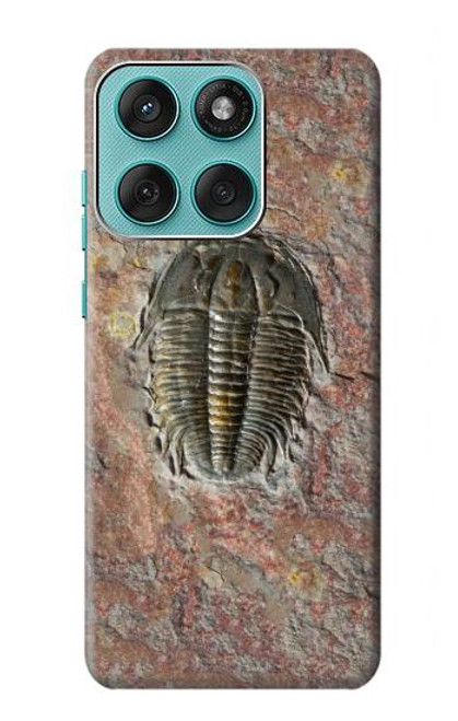 S1454 trilobite Fossile Etui Coque Housse pour Motorola Edge 60 Fusion