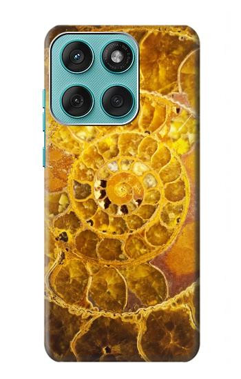 S1789 ammonite Fossiles Etui Coque Housse pour Motorola Edge 60 Fusion