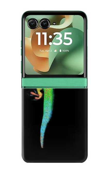S0125 Vert Gecko Madagascan Etui Coque Housse pour Motorola Razr 60, Razr 2025