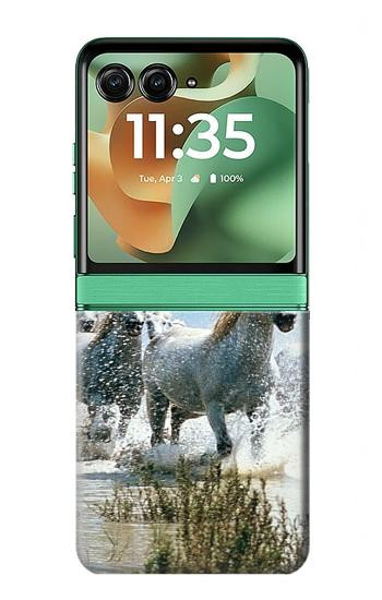 S0250 Cheval Blanc Etui Coque Housse pour Motorola Razr 70+,60+, Razr+ (2026, 2025, 2024)