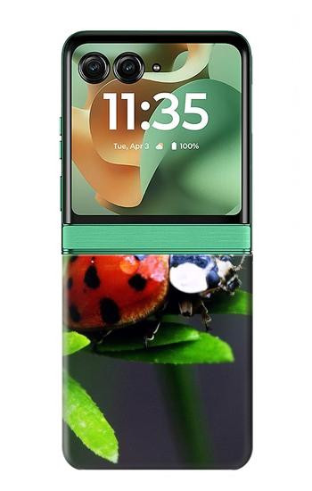 S0263 Coccinelle Etui Coque Housse pour Motorola Razr 70+,60+, Razr+ (2026, 2025, 2024)