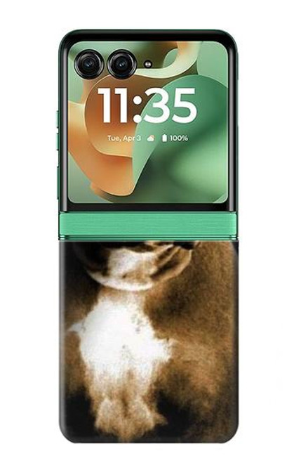 S0520 PitBull Etui Coque Housse pour Motorola Razr 60, Razr 2025