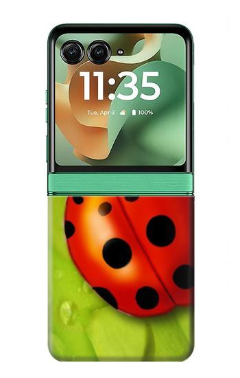 S0892 Coccinelle Etui Coque Housse pour Motorola Razr 70+,60+, Razr+ (2026, 2025, 2024)