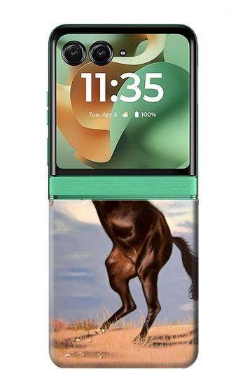 S0934 Sauvage Black Horse Etui Coque Housse pour Motorola Razr 70+,60+, Razr+ (2026, 2025, 2024)