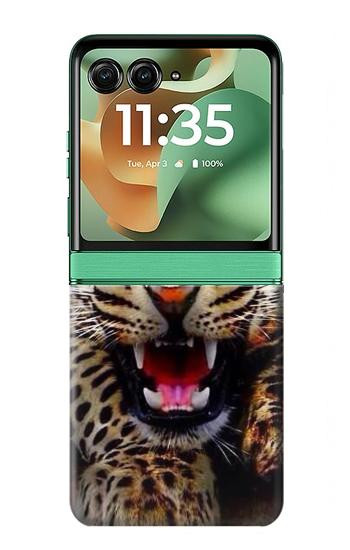 S1932 Bleu yeux Léopard Etui Coque Housse pour Motorola Razr 70+,60+, Razr+ (2026, 2025, 2024)