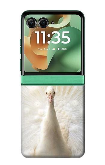 S1980 blanc Paon Etui Coque Housse pour Motorola Razr 70+,60+, Razr+ (2026, 2025, 2024)
