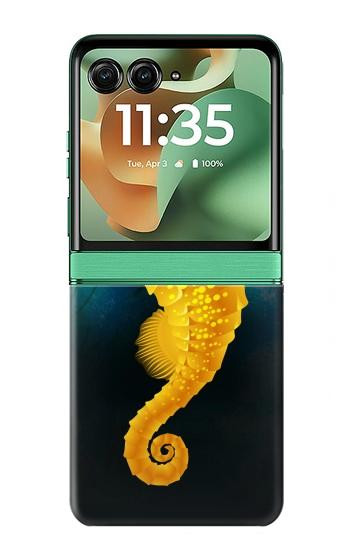 S2444 Hippocampe Monde sous-marin Etui Coque Housse pour Motorola Razr 70+,60+, Razr+ (2026, 2025, 2024)